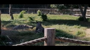 Dubai Safari Park/ Dubai Zoo in Tamil / Dubai Safari Park Tour in Tamil