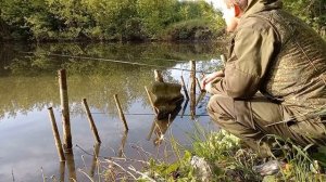 К ТАКОМУ я не был готов! РЫБАЛКА в КУРСКОЙ области. Поплавочка на КАРПА
