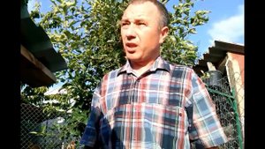 Курица наседка  Как поступить чтобы квочка перестала сидеть на яйцах
