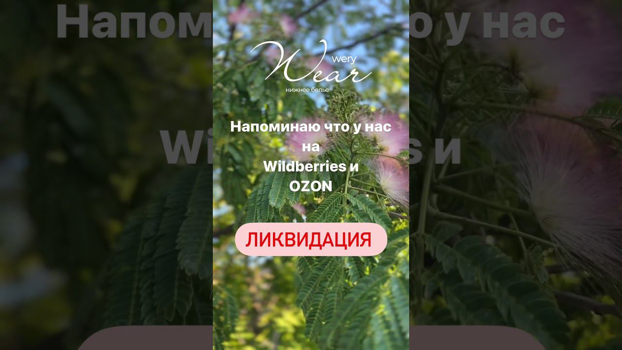 #нижнеебелье #пошивнижнегобелья #нижнеебельекраснодар