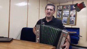 ПЕСНИ ПОД ГАРМОНЬ | 30 ЛЕТ - СЕКТОР ГАЗА | Кавер на гармони