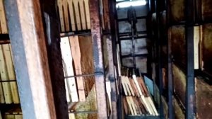 Как сохранить сушь для пчел (рамки пчелиные)? А секрет-то прост!