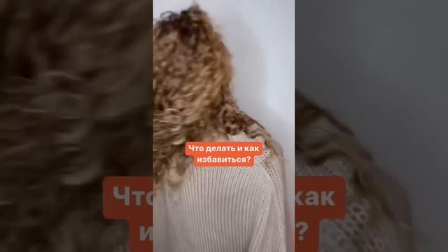 Три признака переувлажнения волос кудрявыеволосы кудрявыйметод shortsvideo