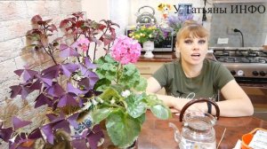Активированный уголь – Важная подкормка для комнатных растений.