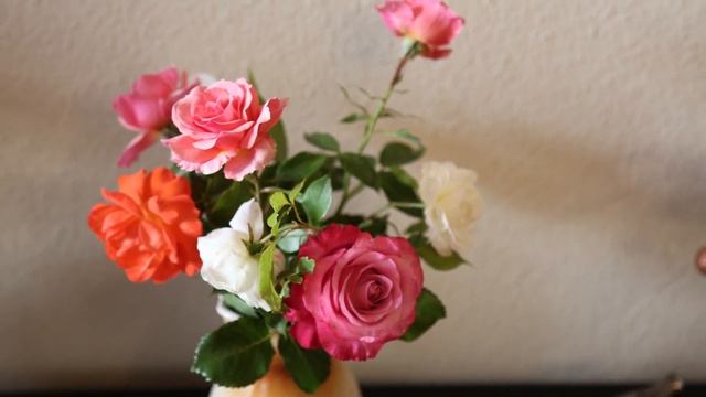 Миллион алых роз на укулеле Million Scarlet Roses Ukulele смотреть онлайн