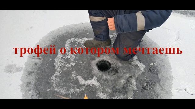 Зимний трофей. вспомним зиму) рыбалка в ЗКО смотреть онлайн