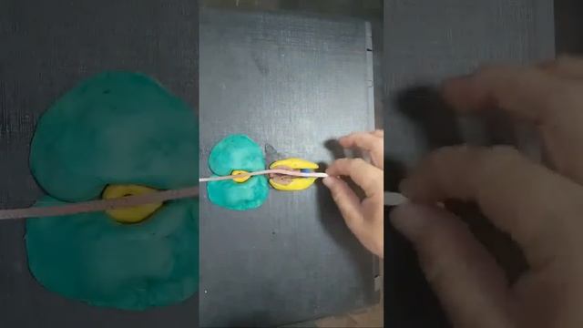 Аёл Мерс Трусик Кийса Нима Бўлиши Хақида / жонли эфир смотреть онлайн