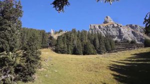 Супер полеты в костюме крыле HD видео