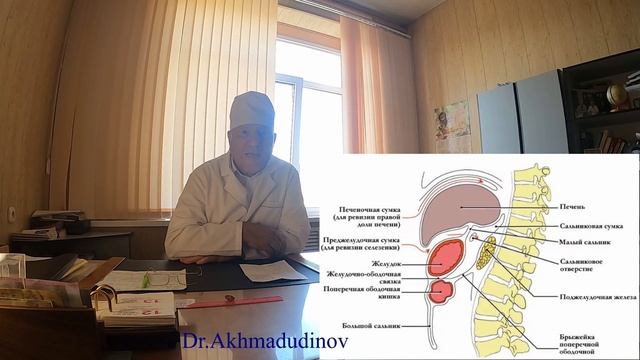 Брюшная полость. Часть 1. Проф. Ахмадудинов М.Г.