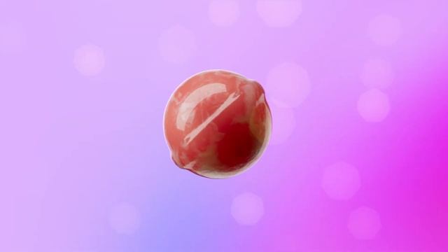 MOTI PLAY BAR: VAPE COOLER. VAPE SMARTER. смотреть онлайн