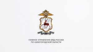 "Падали, но поднимались". ГУ МВД России по Нижегородской области.