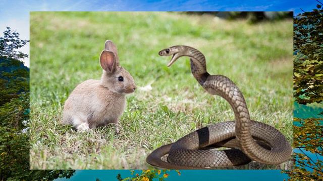 Мудра притча ("Змія та зайці"). смотреть онлайн