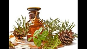 Доклад по применению эфирных масел и лечению пчел от акарапидоза