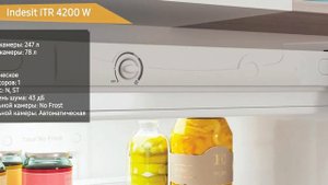 Холодильник Indesit ITR 4200 W
