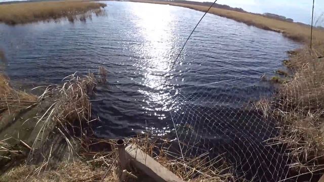 Рыбалка на паук подъёмник с моста в заброшенной сибирской деревне. Рыбалка 2022 смотреть онлайн