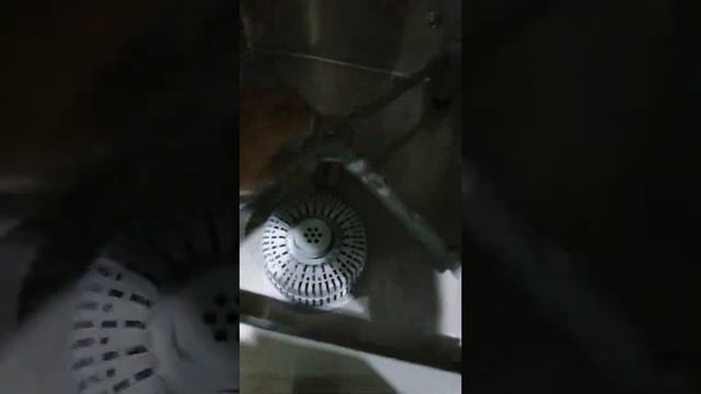 Посудомоечные машины ADLER (ИТАЛИЯ) смотреть онлайн