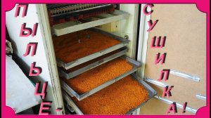 Пыльцесушилка