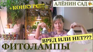 ФИТОЛАМПА  Вред или польза / Как выбрать фитолампу