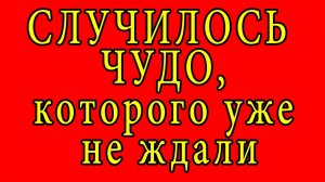 Случилось чудо, которого уже не ждали