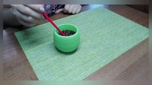 ИНЖИР ИЗ СЕМЯН.