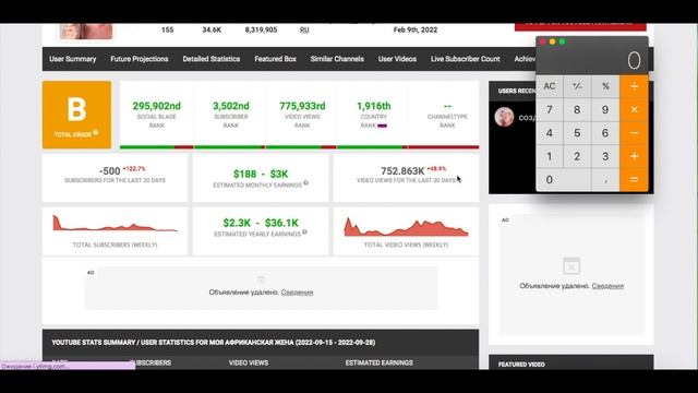 Доход с Ютуб канала Моя африканская жена. Сколько зарабатывает  на Youtube Моя африканская жена
