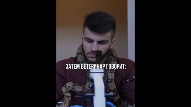 Мотивация