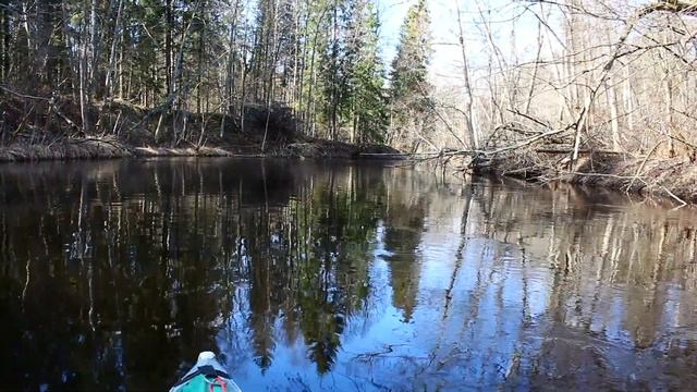 оз.Шевино - устье реки Свольна, весенний поход на байдарках, kayaking смотреть онлайн