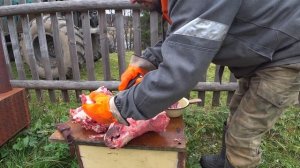 ВАРЮ КОРОВЬИ ГЛАЗА И МОЗГИ / РАЗДЕЛКА ГОЛОВЫ.