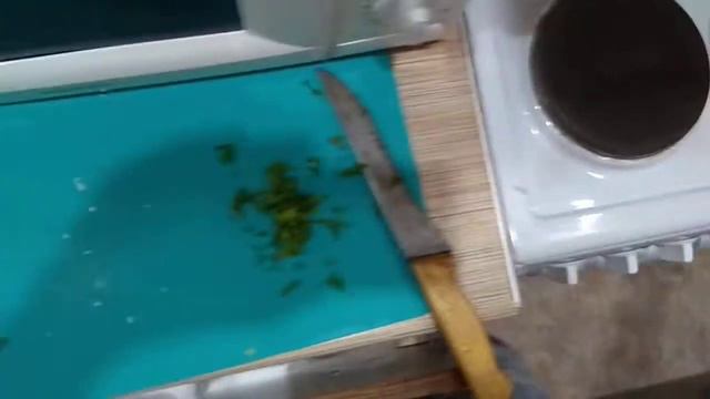 30 июля 2020 г. смотреть онлайн