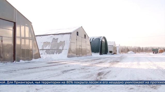 Современный лесосеменной центр построят на территории Мегетского лесопитомника