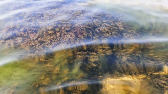 Пляж "CLUB 117", Феодосия. Через "ЭТО" необходимо пройти, прежде чем попадаешь на чистую воду. смотреть онлайн