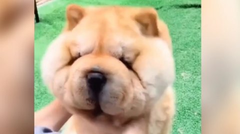 Приколы …???