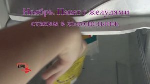 Хранение желудей зимой в холодильнике. Стратификация дуба в домашних условиях