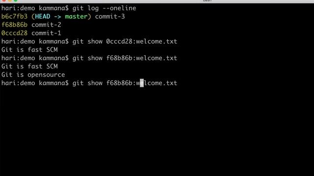 How to revert to previous version of file in Git | Git Get Specific File version | Git Tutorial смотреть онлайн