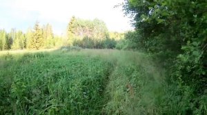 [VLOG_ЛТ#194]_ три месяца прошлого... Жизнь в деревне..mp4