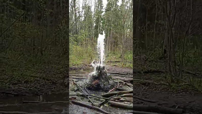 Гатчинские гейзеры