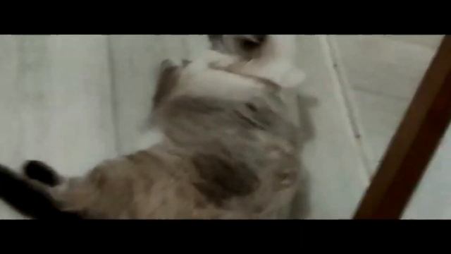 ЗЛОБНАЯ СНЕЖЫНКА трелир про моего кота смотреть онлайн