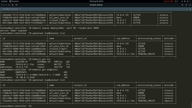 Kuryr Kubernetes: IPv6 and Octavia support смотреть онлайн
