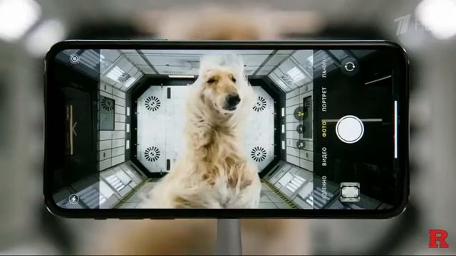 Реклама IPhone 11 Pro Max