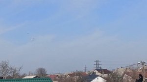 ПОЧТОВЫЕ ГОЛУБИ В ПОЛЁТЕ.