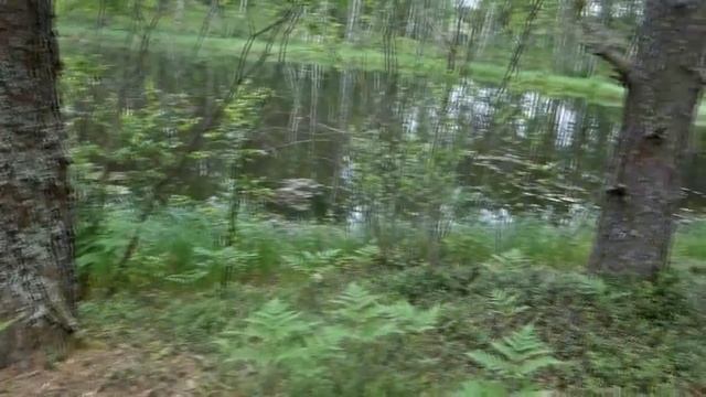РЫБАЛКА И ОТДЫХ НА ВАЛДАЕ ( часть 1)