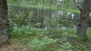 РЫБАЛКА И ОТДЫХ НА ВАЛДАЕ ( часть 1)