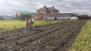 МОРКОВКА ? Как вырастить хороший урожай моркови Морковный король