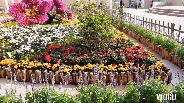 Rhododendron Flower Display @ the Kowloon Park смотреть онлайн