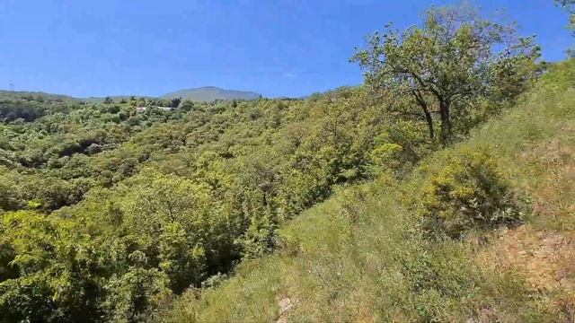 #крым #партенит #продажа #земельныйучасток #недвижимость #realestate #estate #nature #переездвкрым