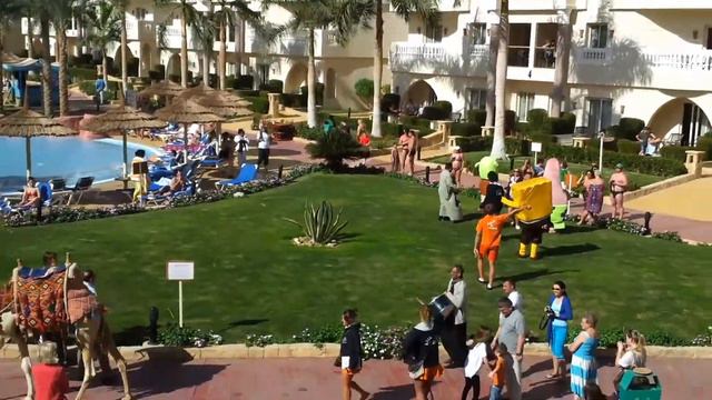 Египет празднование нового года смотреть онлайн