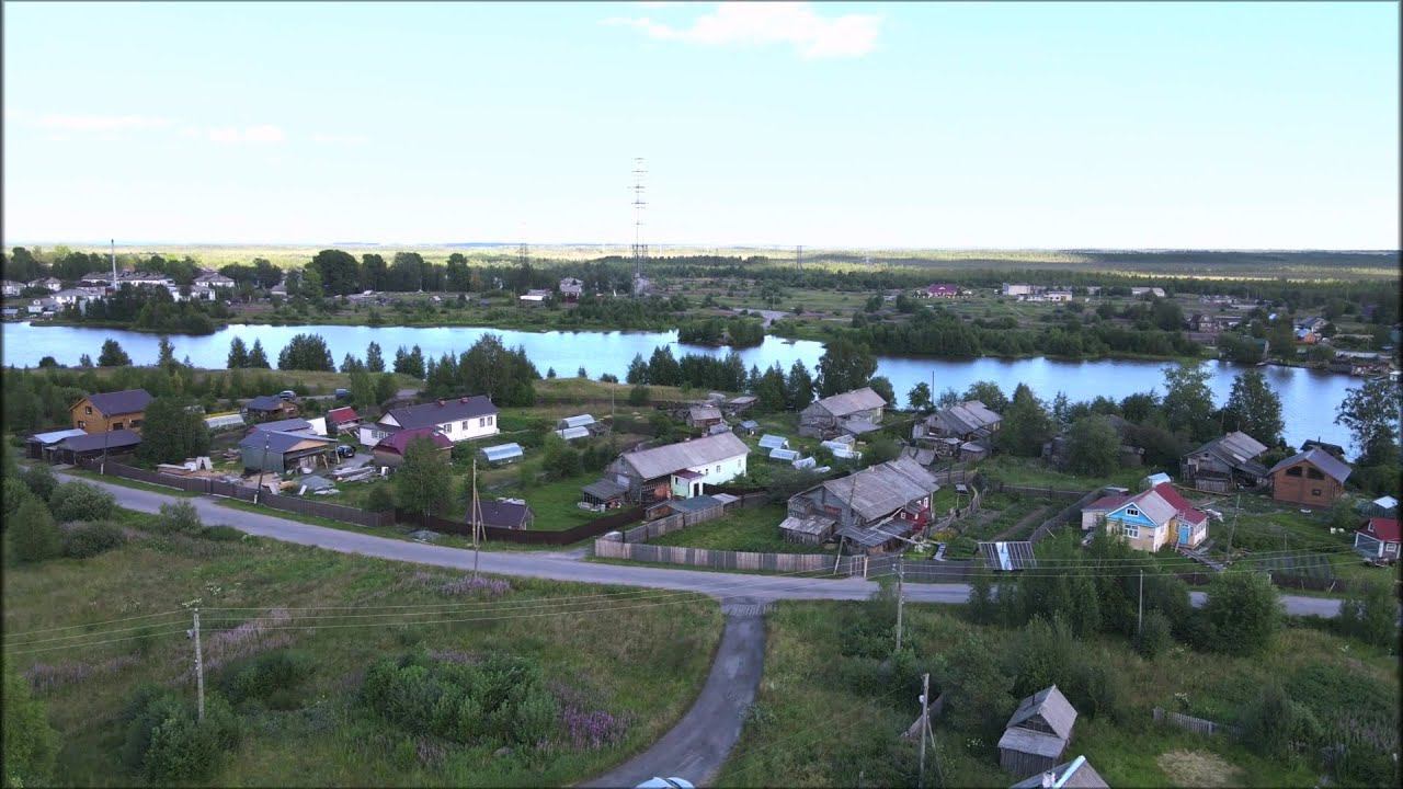 Шижня
