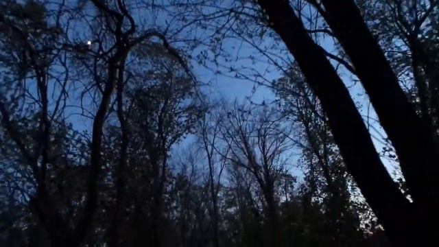 Соловей поет вблизи смотреть онлайн