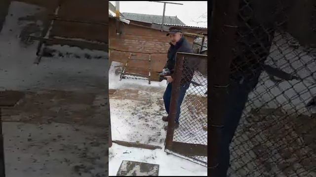 Калмыкия Яшалта голуби Филатова Евгения 89615452406 Продажа смотреть онлайн