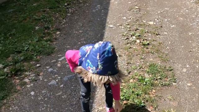 Vlog: Дзинага /Дигорское ущелье и Фиагдон /Тропа чудес/ Путешествие по Северной Осетии-Алании смотреть онлайн